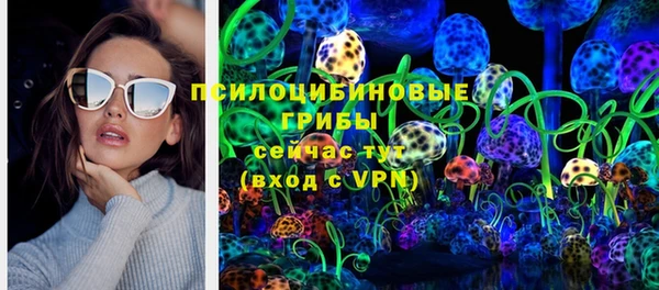 mdpv Алзамай