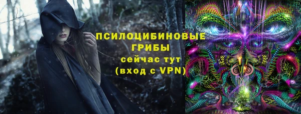 mdpv Алзамай