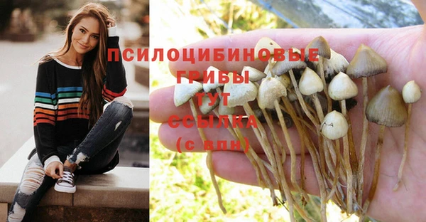 mdpv Алзамай